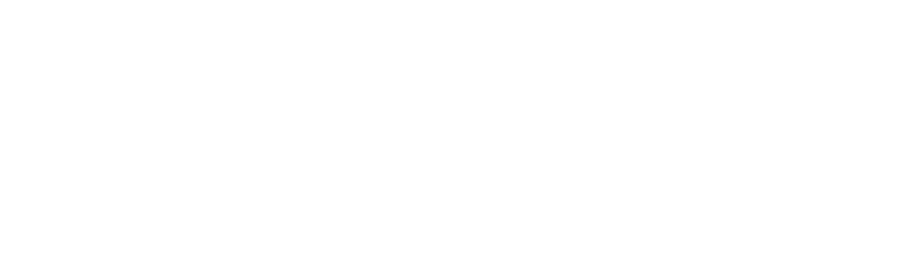 VisenX Inc.